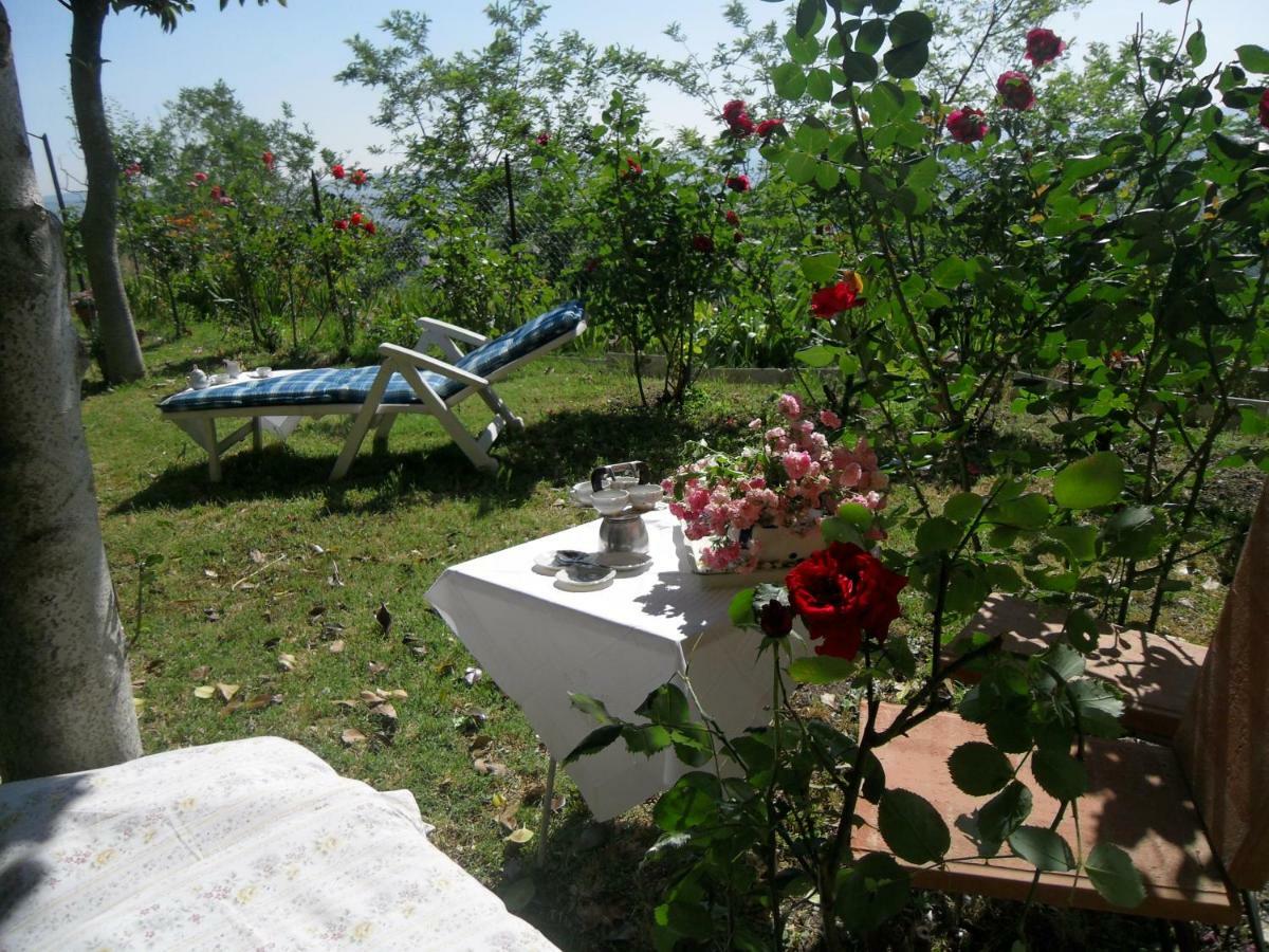 הוילה קיוסדינו House With Stunning Views מראה חיצוני תמונה