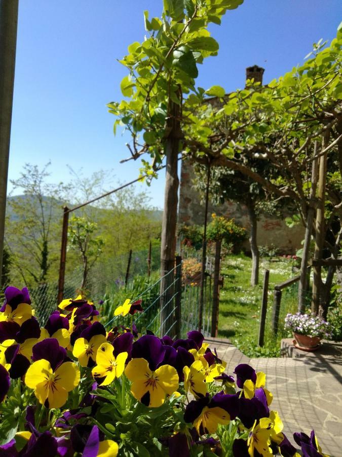 הוילה קיוסדינו House With Stunning Views מראה חיצוני תמונה