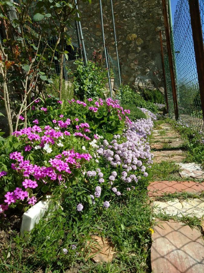 הוילה קיוסדינו House With Stunning Views מראה חיצוני תמונה